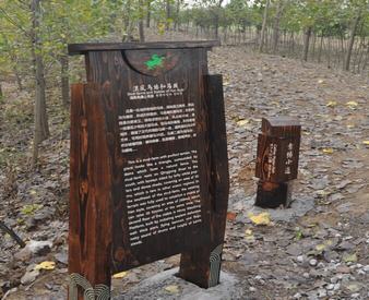 ���^(q��)���R����