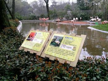 ���^(q��)���R����